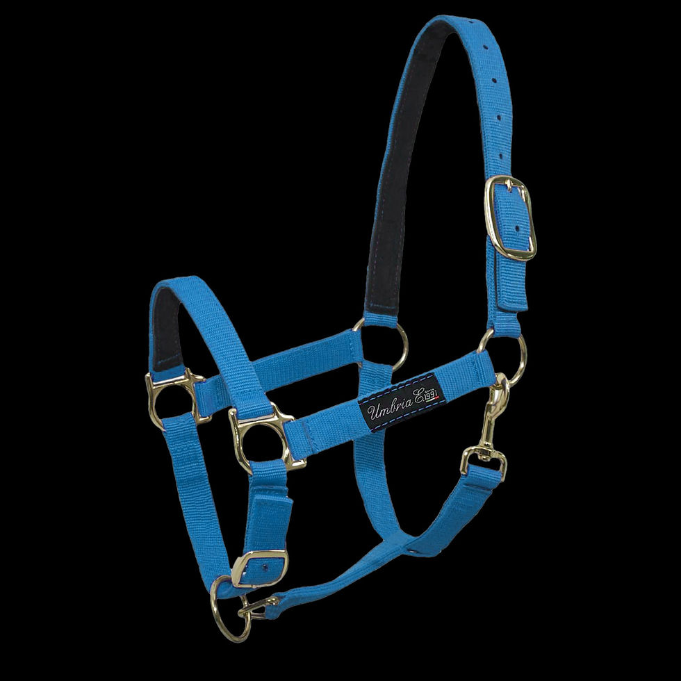 Umbria Ohlávka Podšitá Kožou