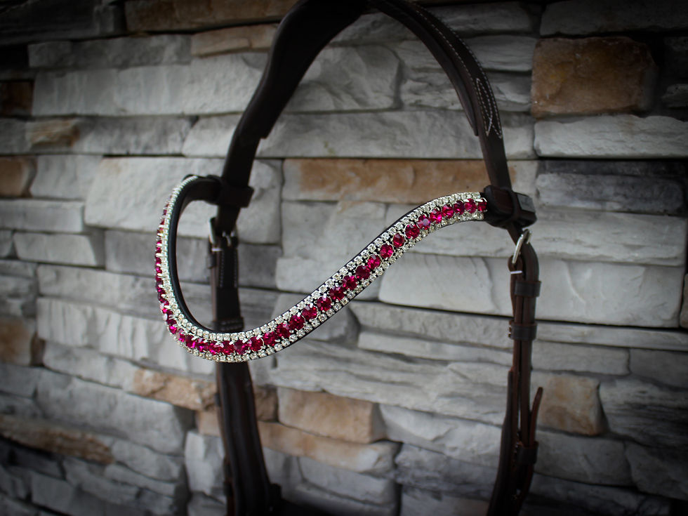 Thumbnail: Browband Decent Fuchsia