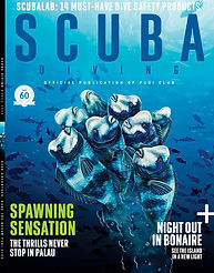 Palau cover alternate.jpg