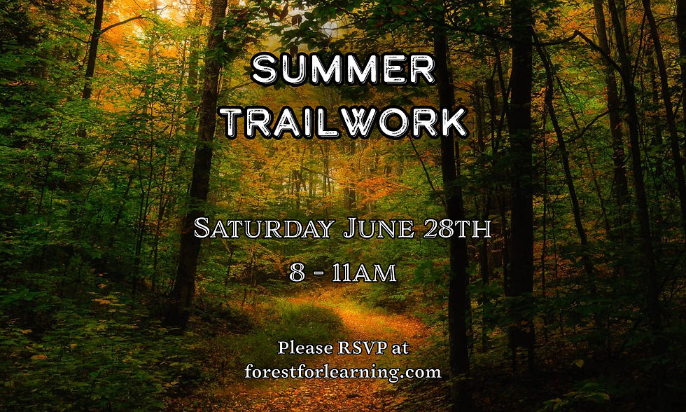 Summer Trailwork Day