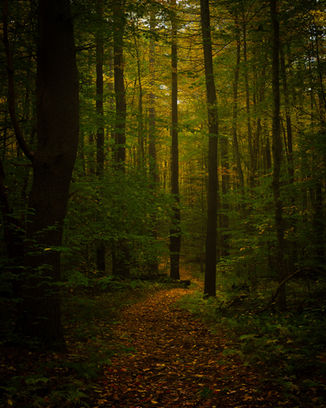 ©2022 Josh Fields, all rights reserved