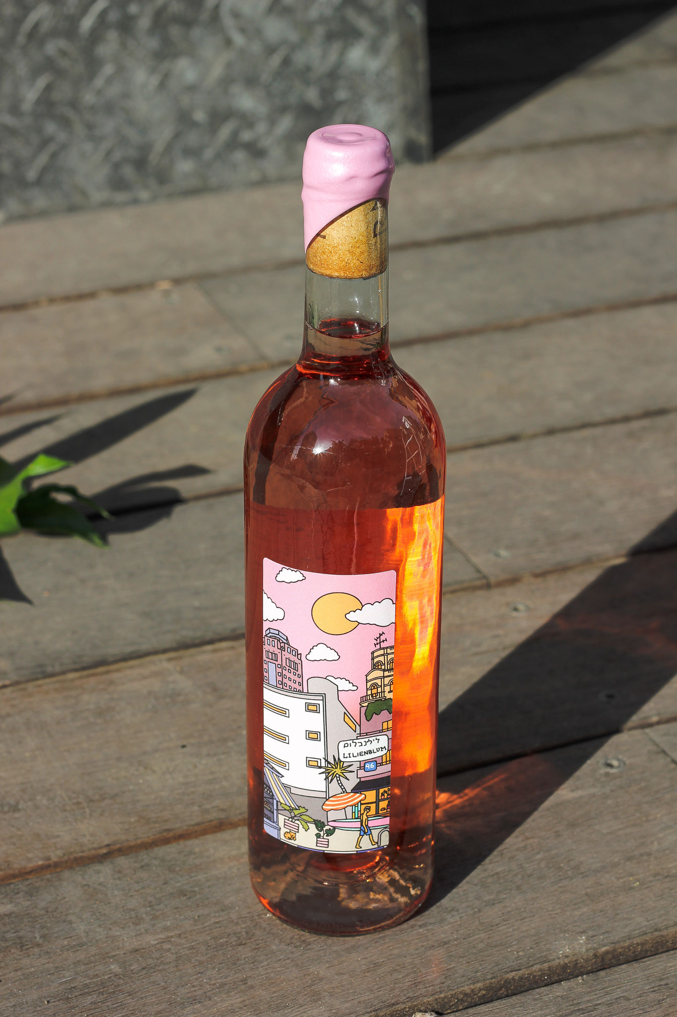 לילנבלום 46 רוזה