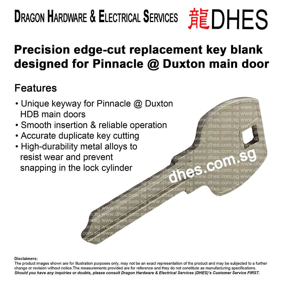DHES Precision Key Blank for Pinnacle @ Duxton HDB Main Door I Duplication Oblique View