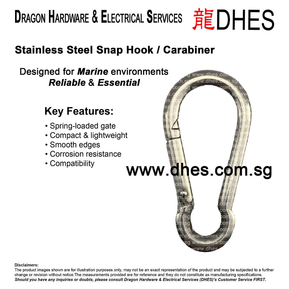 Thumbnail: DHES Stainless Steel A2 SS304 Snap Hook Carabiner Designed For Diving and Boating Front Cover