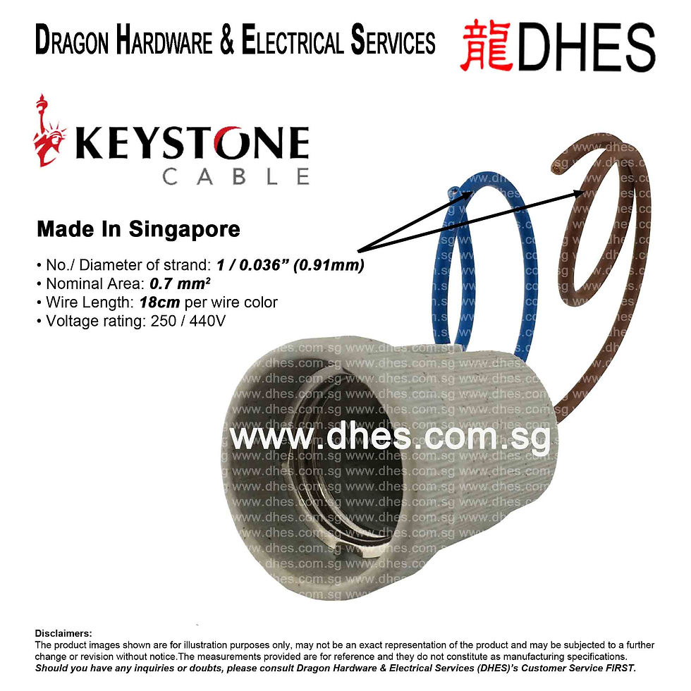 DHES Porcelain E27 Socket Lamp Holder F519 With Keystone Wire Cables Front Cover