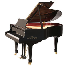 BM-PE187V-piano-longisland1.jpg