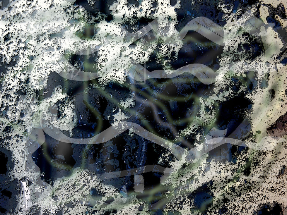 SO-009