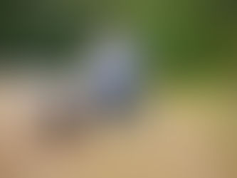 Vermont Engagement Photographer: Art of Scenic Storytelling