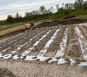 Septic Field