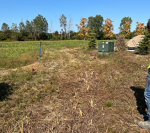 Before Landscape Ditch