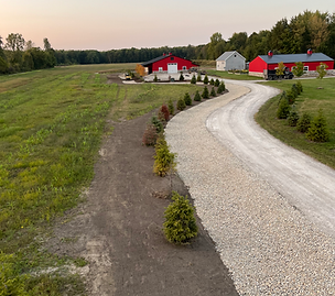 Landscaped Ditch line