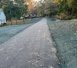 Final Grading and Hydroseed