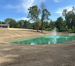 Pond
