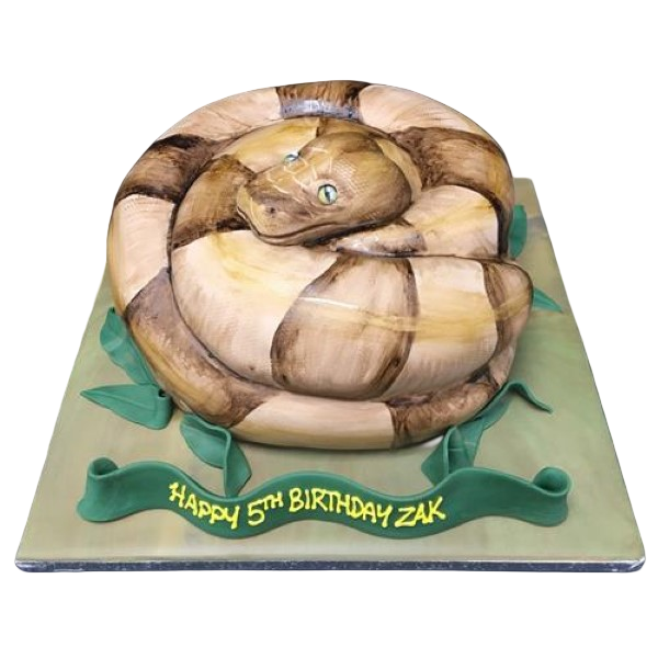 Bespoke celebration cake shaped as a coiled snake with detailed scales, crafted in Solihull, West Midlands.