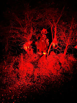 564616732_1655177292561106_3965015969660632593_n