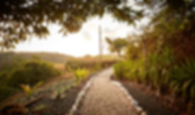 Path to Cliff Terrace.jpeg