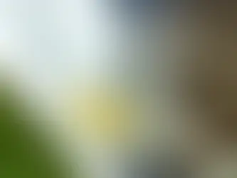 Ankara Güneş Enerjisi Fiyatları