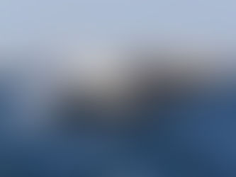 The Whales of Cortez