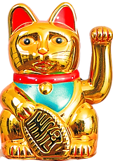 Image Asset_Wixel_edited.png