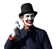 240954050_399027608236422_5355713273309617594_n_edited_edited.png