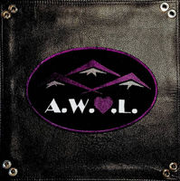 A.W.O.L. (Appalachian Women of Leather)