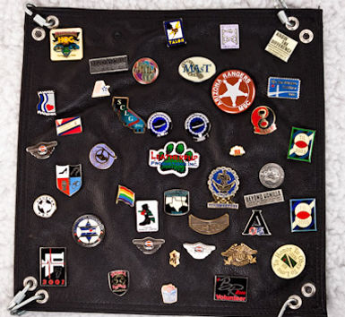 Pin Panel 2