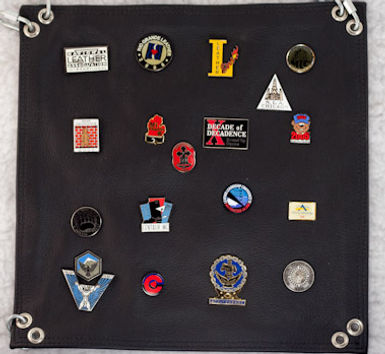 Pin Panel 1