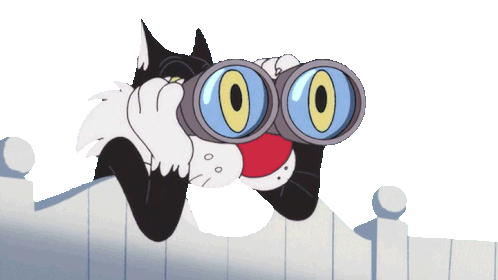 mirando-silvestre.gif