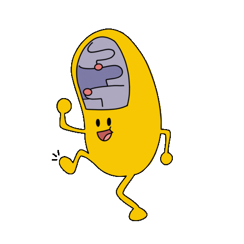 giphy (1).gif