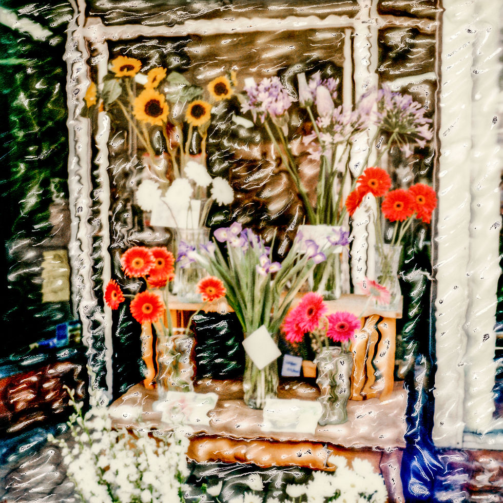 Painterly Photography Study-9