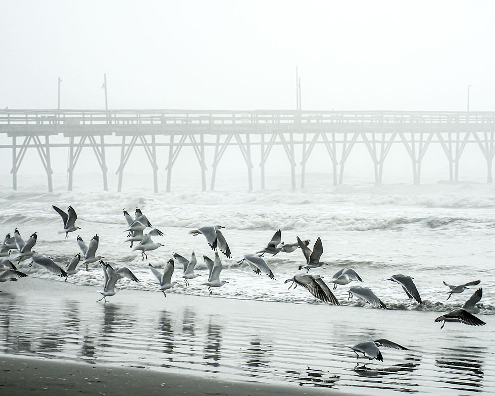 Sunset Beach Pier 15_82