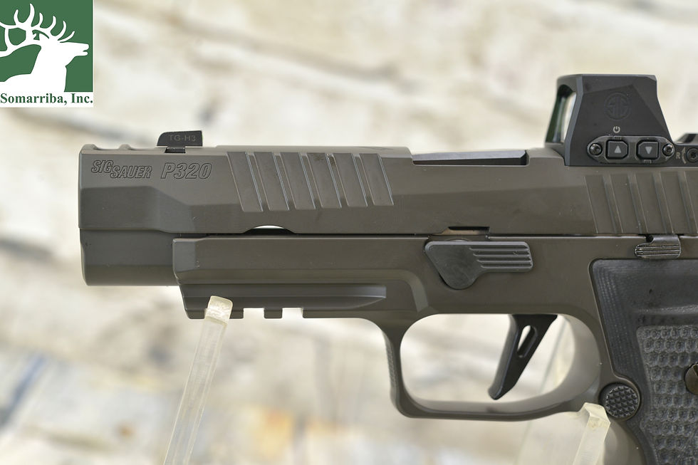 Thumbnail: Sig Sauer 320AXGF9LEGIONRXX P320 AXG Legion w/Romeo-X Full Size 9mm Luger