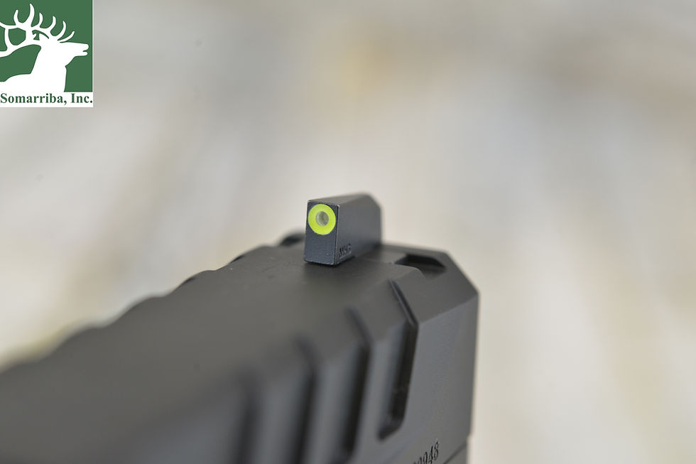Thumbnail: EC9409BU  Springfield Armory Echelon Compact Frame 9mm 18+1 4" Black Melonite