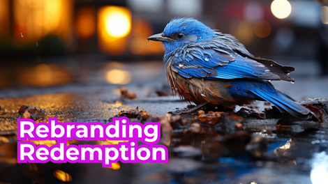 How to Steer Clear of Costly Mistakes and Create a Brand That Soars!