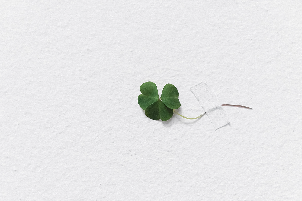 Green shamrock taped to a white paper