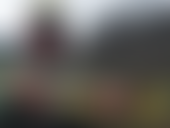 Upper Delaware Fly Fishing Report