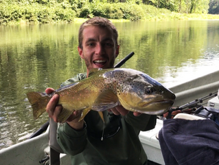 Fly Fishing report for the Upper Delaware and Catskill Rivers