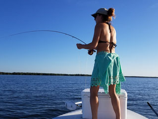 Tampa Bay Fly Fishing Report