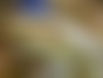 Fly Fishing Report for the Upper Delaware and Catskill Rivers