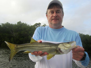 Tampa Bay Fly Fishing Report
