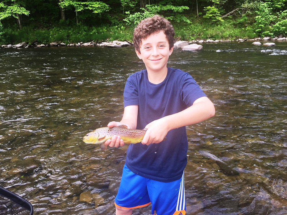 Willowemoc Brown trout