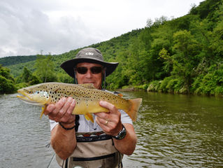 Upper Delaware Fly Fishing Report