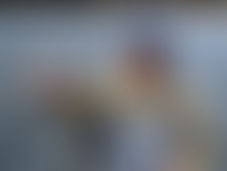 Upper Delaware Fly Fishing Report