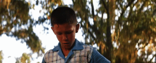forrest.gif