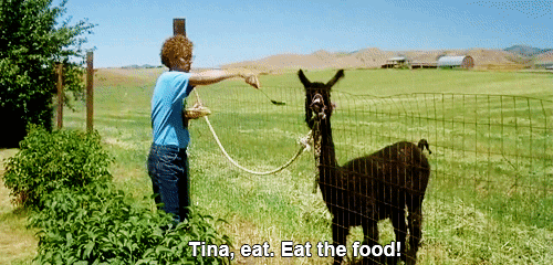 tina.gif