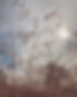 Un brin de photographie
