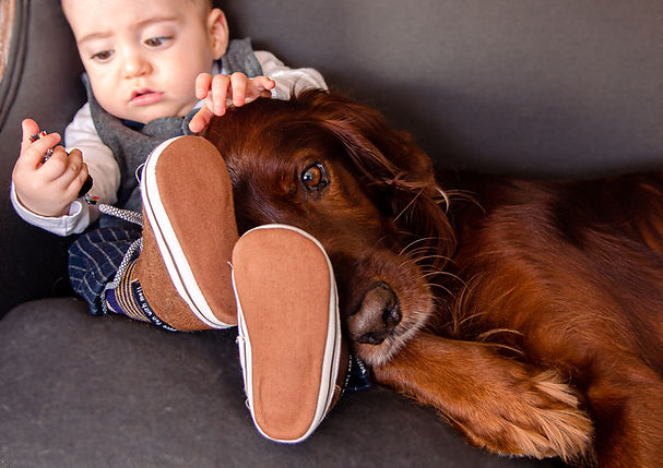 Photographe-animaux-chien-bébé-famille-Aurillac-Cantal-Auvergne