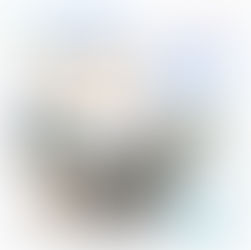 | 裝潢清潔 | 桃園市平鎮區