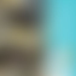 | 居家清潔 | 新北市林口區