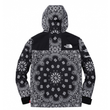 north face paisley